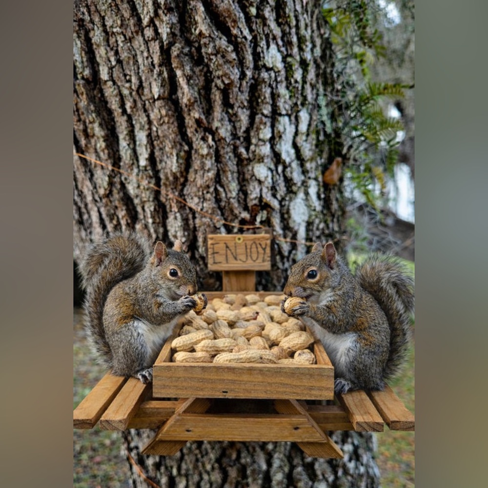 Wooden picnic table feeder for squirrels and birds